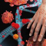 Court Orders Seizure of $2.04m and Properties Tied to Former CBN Governor Emefiele