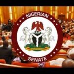 Tinubu Courts Global Investors in Paris With Reform, Transparency Agenda